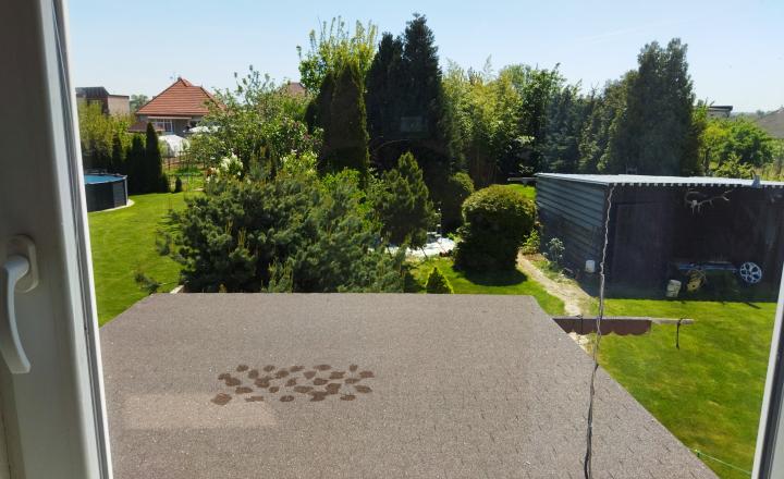 Predáme dvojgeneračný RD v obci Šoporňa - fotografia 18