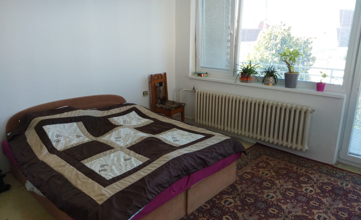 Predáme 7 izbový rodinný dom v obci Šoporňa, - fotografia 12