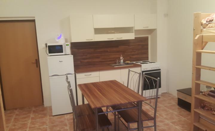 Prenájom ubytovania v obci Šoporňa - fotografia 12